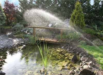 automata �nt�z�rendszer